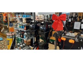 >Promotion MERCURY F-6 M ou ML - 209 CM3 - 2300 € T.T.C